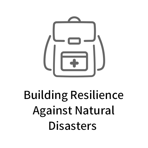 Building Resilience Against Natural Disasters