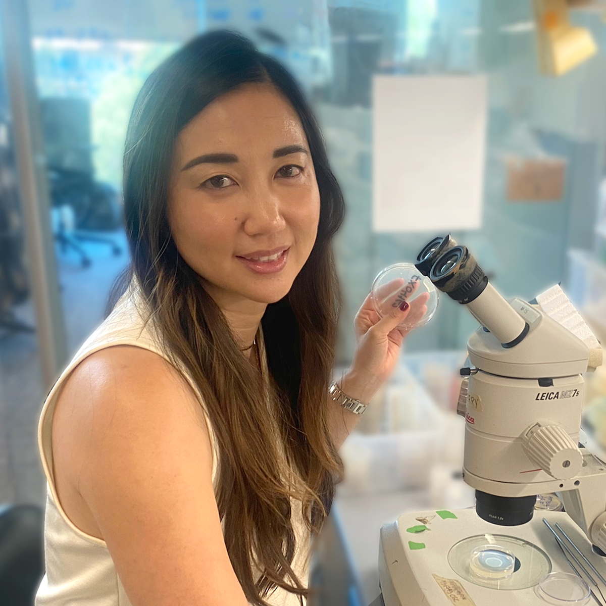 Dr. Andrea Choe